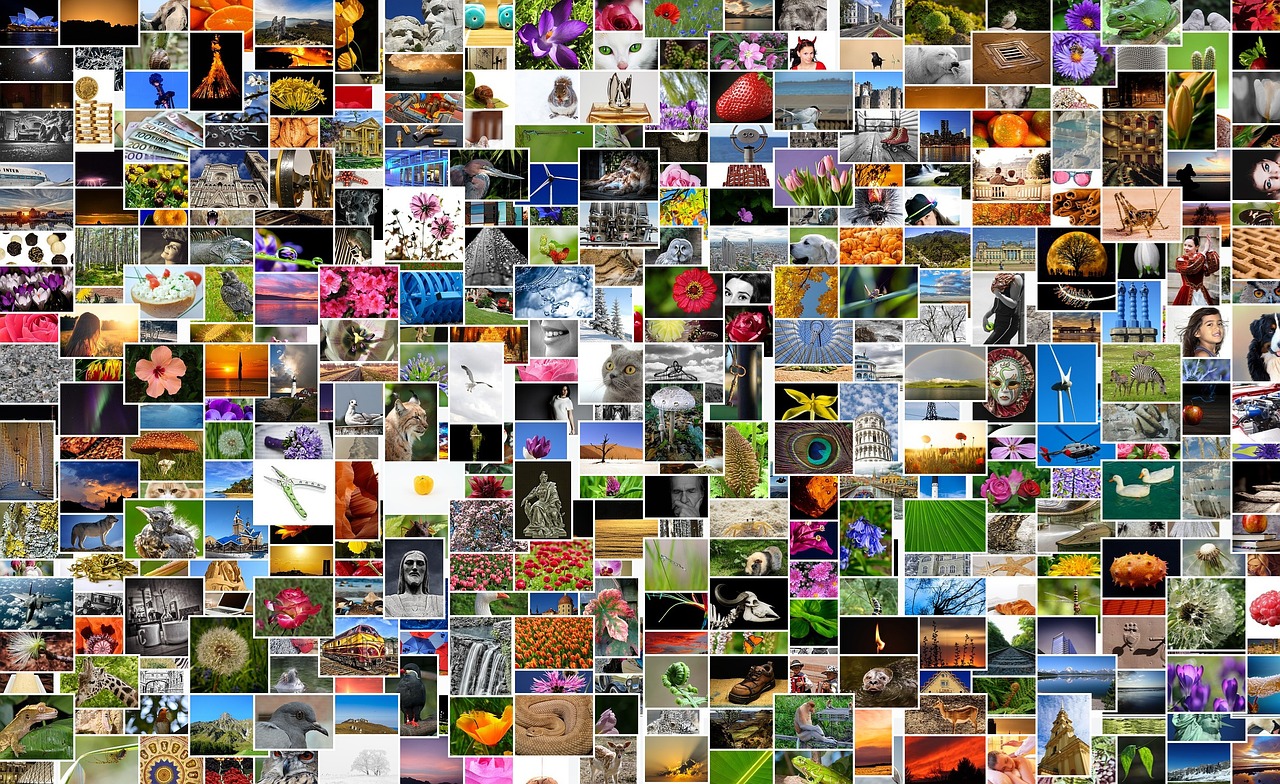 600图库大全免费资料图2024,2024年全新图库资源汇总_移动版9.73