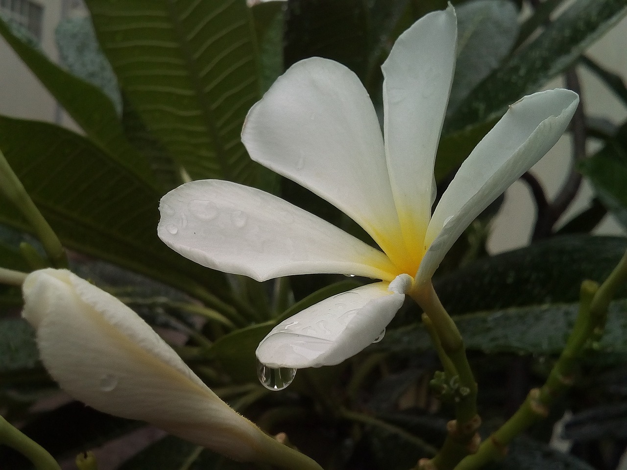 菏泽五胞胎最新动态更新，最新消息汇总